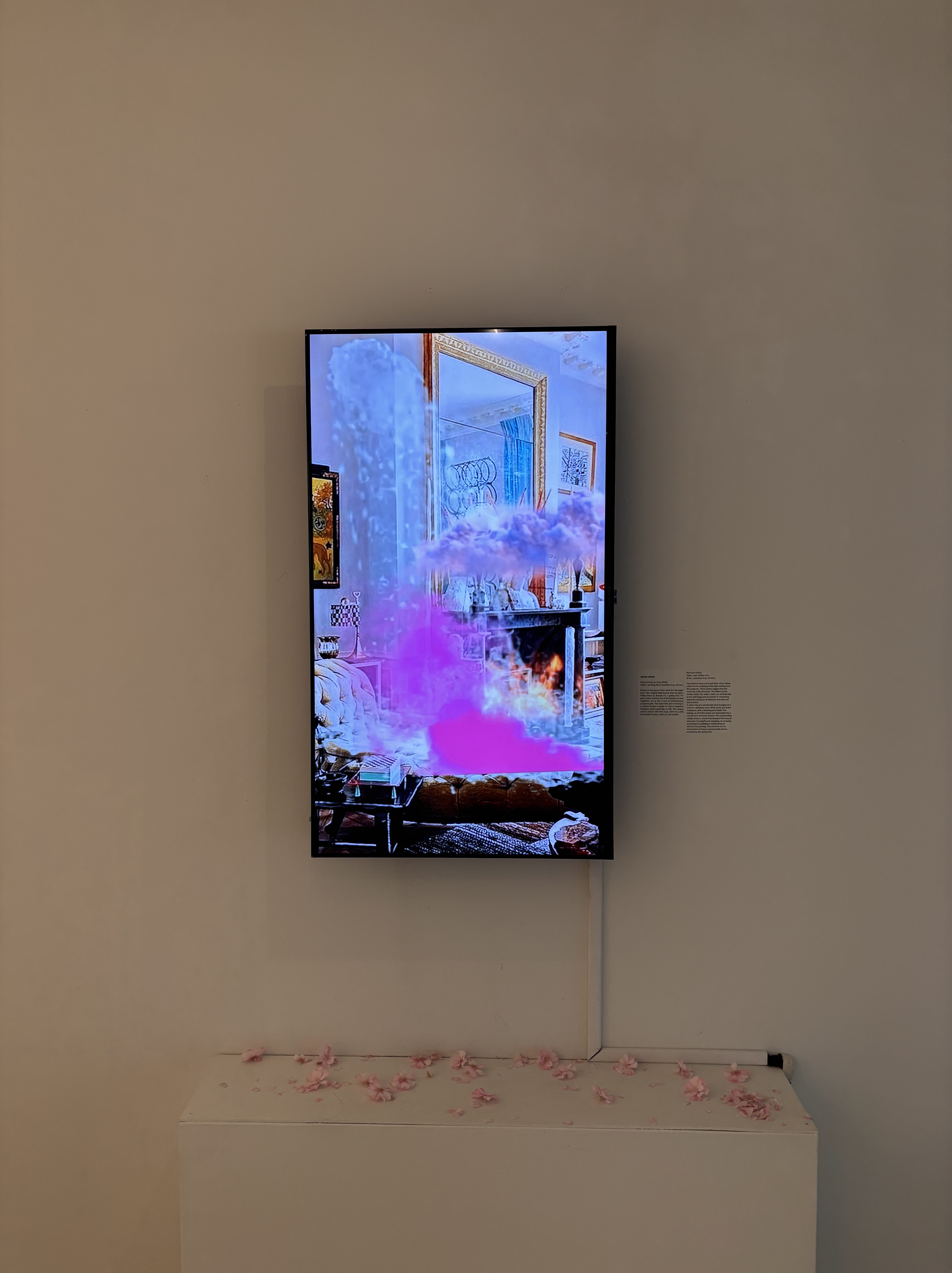 Sakura installation view — video monitor showing pink cloud interior with cherry blossoms on plinth
