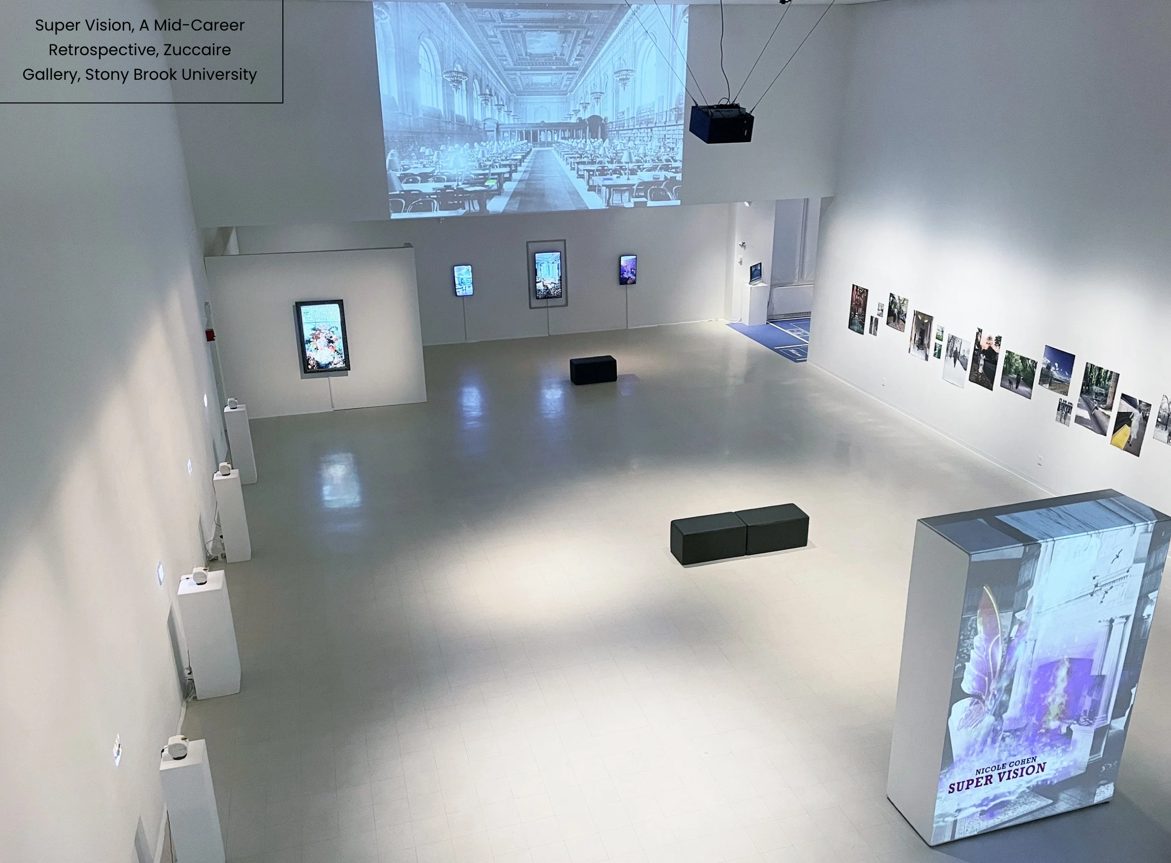 Super Vision, A Mid-Career Retrospective installation view, Zuccaire Gallery, Stony Brook University